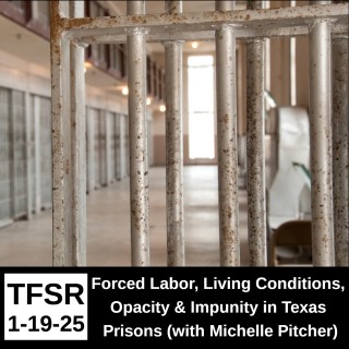 Forced Labor, Living Conditions, Opacity and Impunity in Texas Prisons (with Michelle Pitcher)