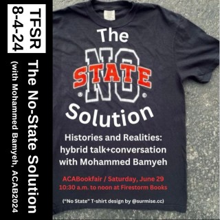 The No-State Solution (with Mohammed Bamyeh, ACAB2024)